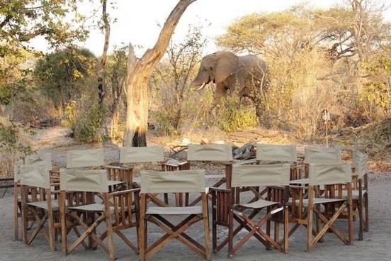 Bedouin Bush Camp Stühle im Kreis im Hintergrund ein Elefant