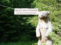 Bär aus Holz und Schild mit Bärenbeobachtung