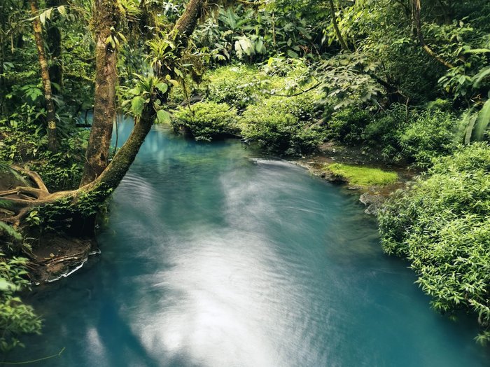 Türkisblauer Fluss umgeben von dichtem Dschungel