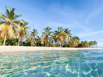 Türkisblaues Meer und Palmen