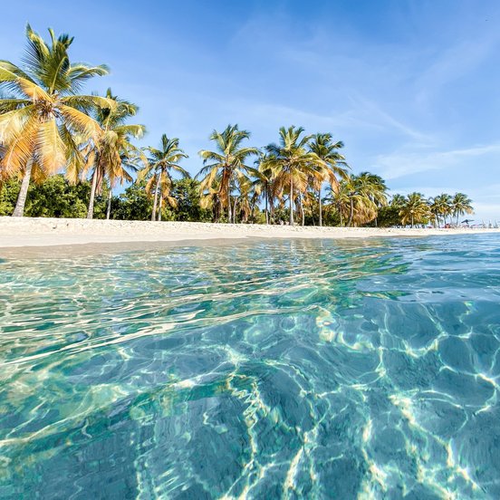 Türkisblaues Meer und Palmen