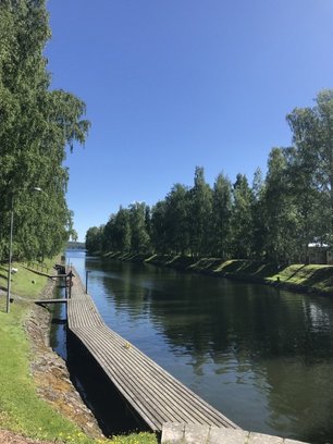 Holzsteg an einem Flussufer und Bäume