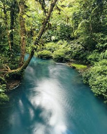 Costa Rica Reise - Faultier Tour