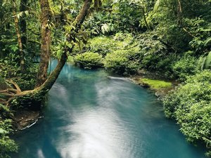 Türkisblauer Fluss im Regenwald Costa Ricas