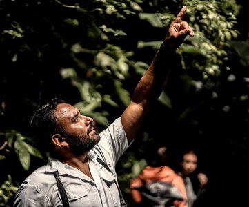Reiseleiter Alvaro Jimenez zegt auf etwas im Regenwald