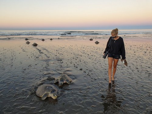Junge Frau neben zwei großen Meeresschildkröten am Strand bei Sonnenaufgang