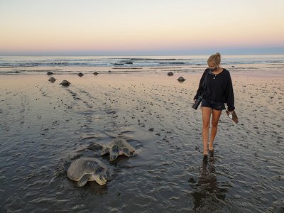 Costa Rica Reisen: Junge Frau neben zwei Meeresschildkröten