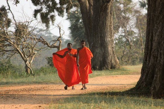 Zwei Mönche in orangefarbenen Gewand im Wald