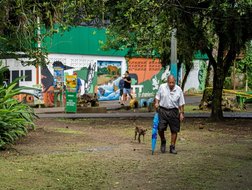 Alter Mann und ein Straßenhund