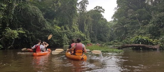 Kayaktour in Tortuguero, Costa Rica