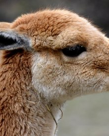 Ecuador Rundreise 2 Wochen Ecuador Rundreise 2 Wochen