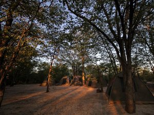 Camingplatz mit Zelten inmitten der Savanne Botswanas