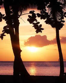 Strand bei Sonnenuntergang mit Palmen und Menschen