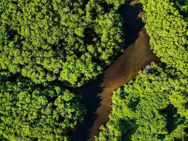 Amazonas Regenwald und Fluss von oben