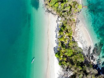Strand, Palmen, türkisfarbenes Meer von oben