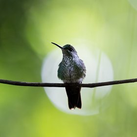 costa rica reisebewertung 5 sterne