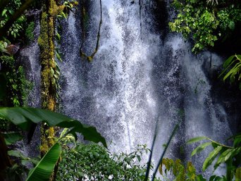 Wasserfall im Regenwald