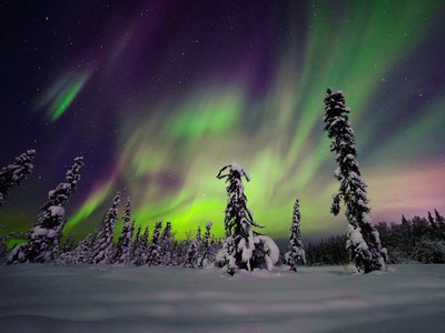 Polarlichter in einem verschneiten Wald in Finnland