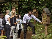 Imker zeigt einer Reisegruppe in Costa Rica seine Bienen