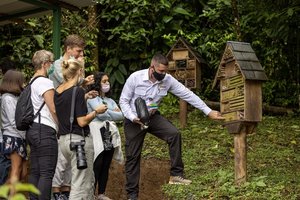 Imker zeigt einer Reisegruppe in Costa Rica seine Bienen