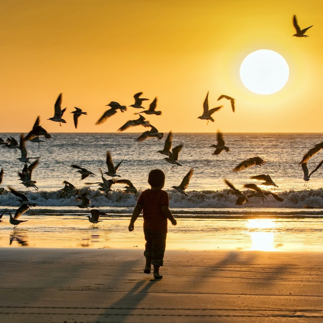 Kleines Kind verjagt Möwen am Strand bei Sonnenuntergang