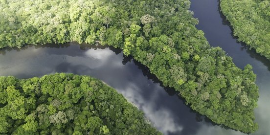 Mäandrierender Fluss im Dschungel von oben mit der Drohne aufgenommen