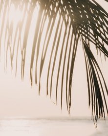 Palmwedel im Hintergrund das Meer