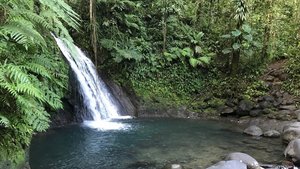 Wasserfall im Regenwald von Guadeloupe
