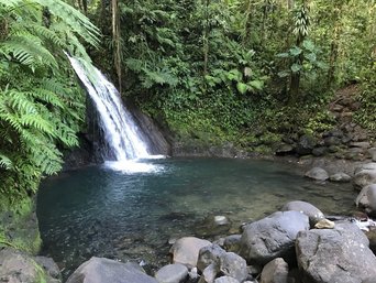 Wasserfall im Dschungel