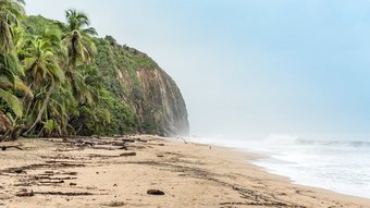 Menschenleerer Strand mit Palmen im Tayrona Nationalpark in Kolumbien