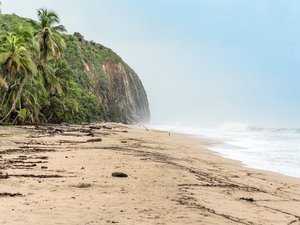 Menschenleerer Strand mit Palmen im Tayrona Nationalpark in Kolumbien