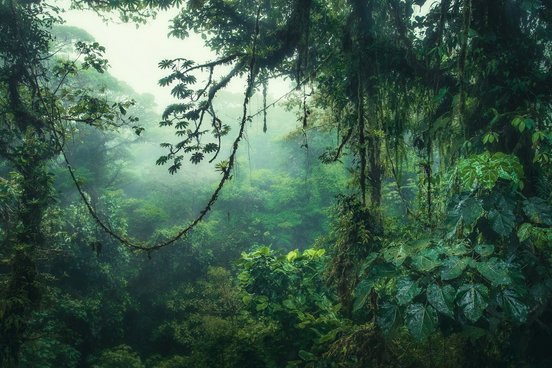 Rundreise Costa Rica 2 Wochen