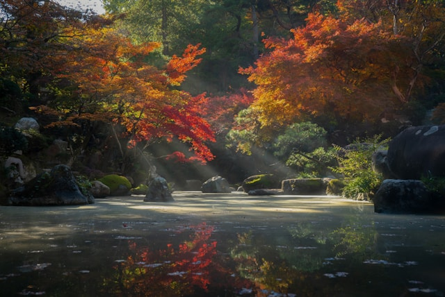 Japan Herbstlaub